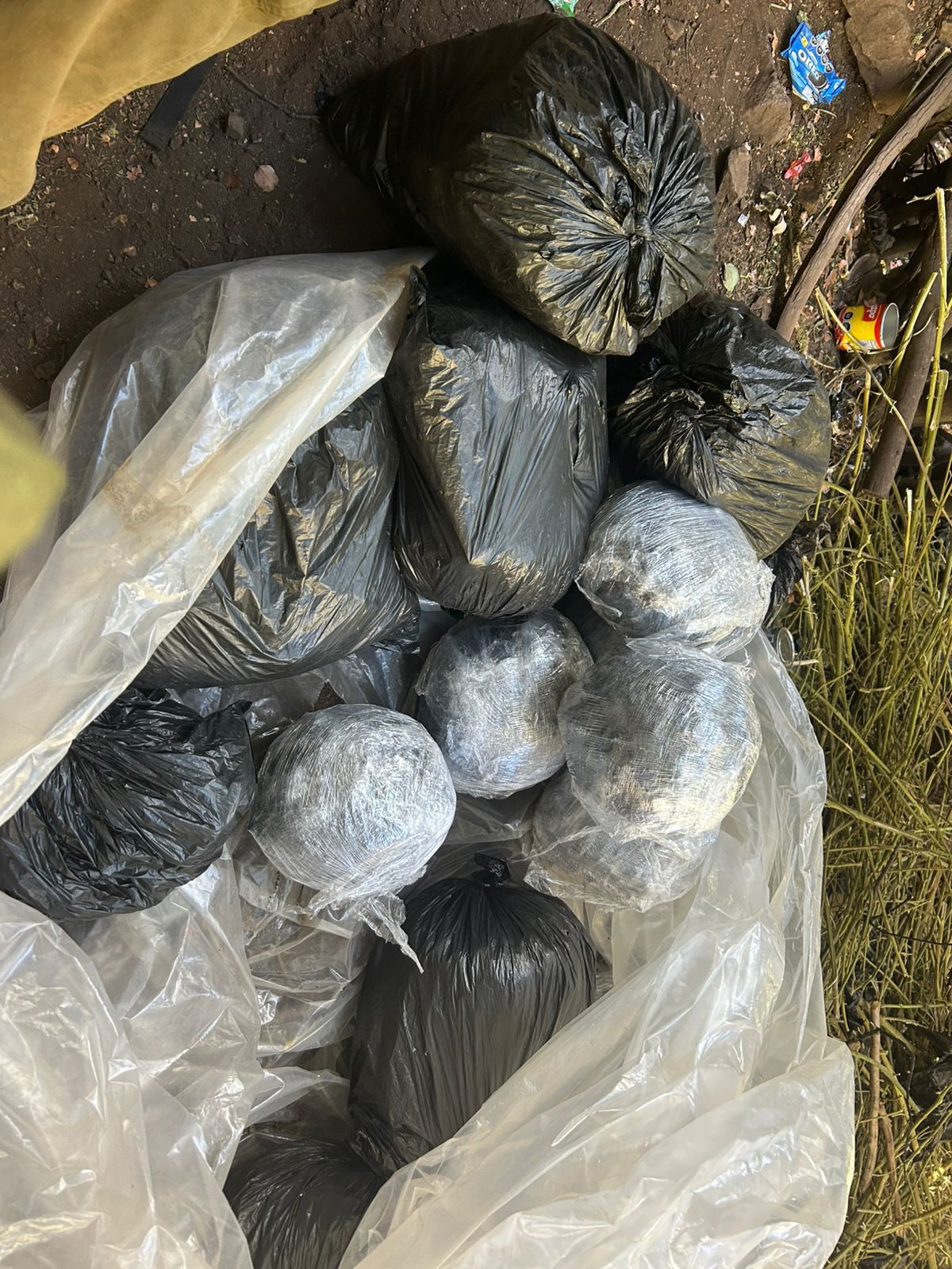 Descubren acopio con 170 kilos de droga en Cabildo