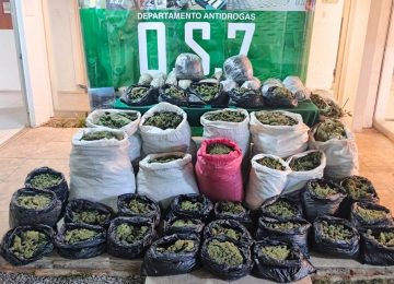 Descubren acopio con 170 kilos de droga en Cabildo