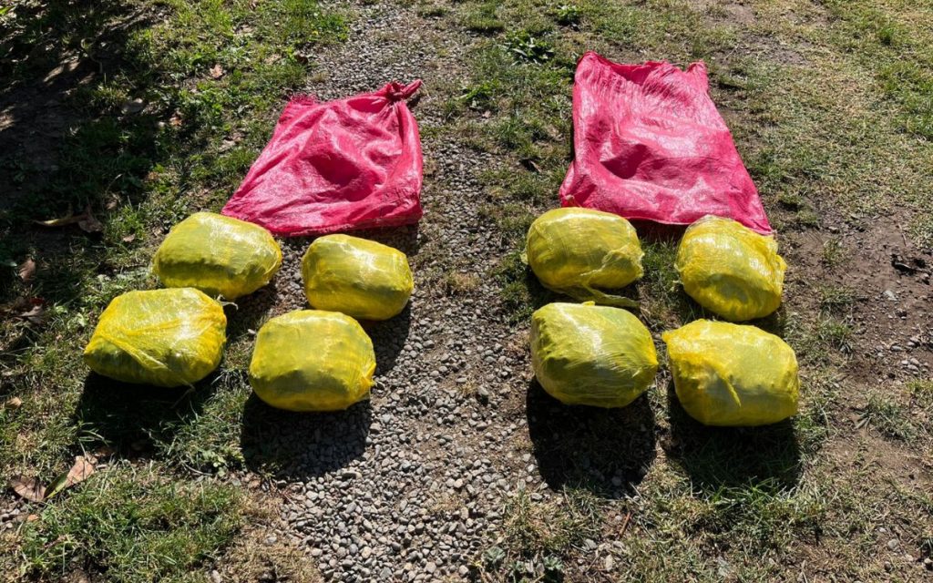 Descubren sacos con 8 kilos de marihuana en terreno de Hijuelas