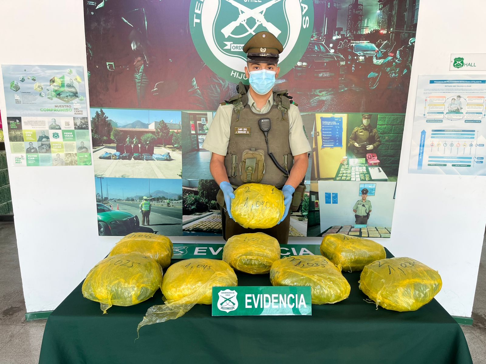 Descubren sacos con 8 kilos de marihuana en terreno de Hijuelas