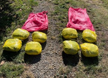 Descubren sacos con 8 kilos de marihuana en terreno de Hijuelas