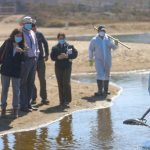 Detectan disminución del oxígeno en el agua del humedal de La Laguna