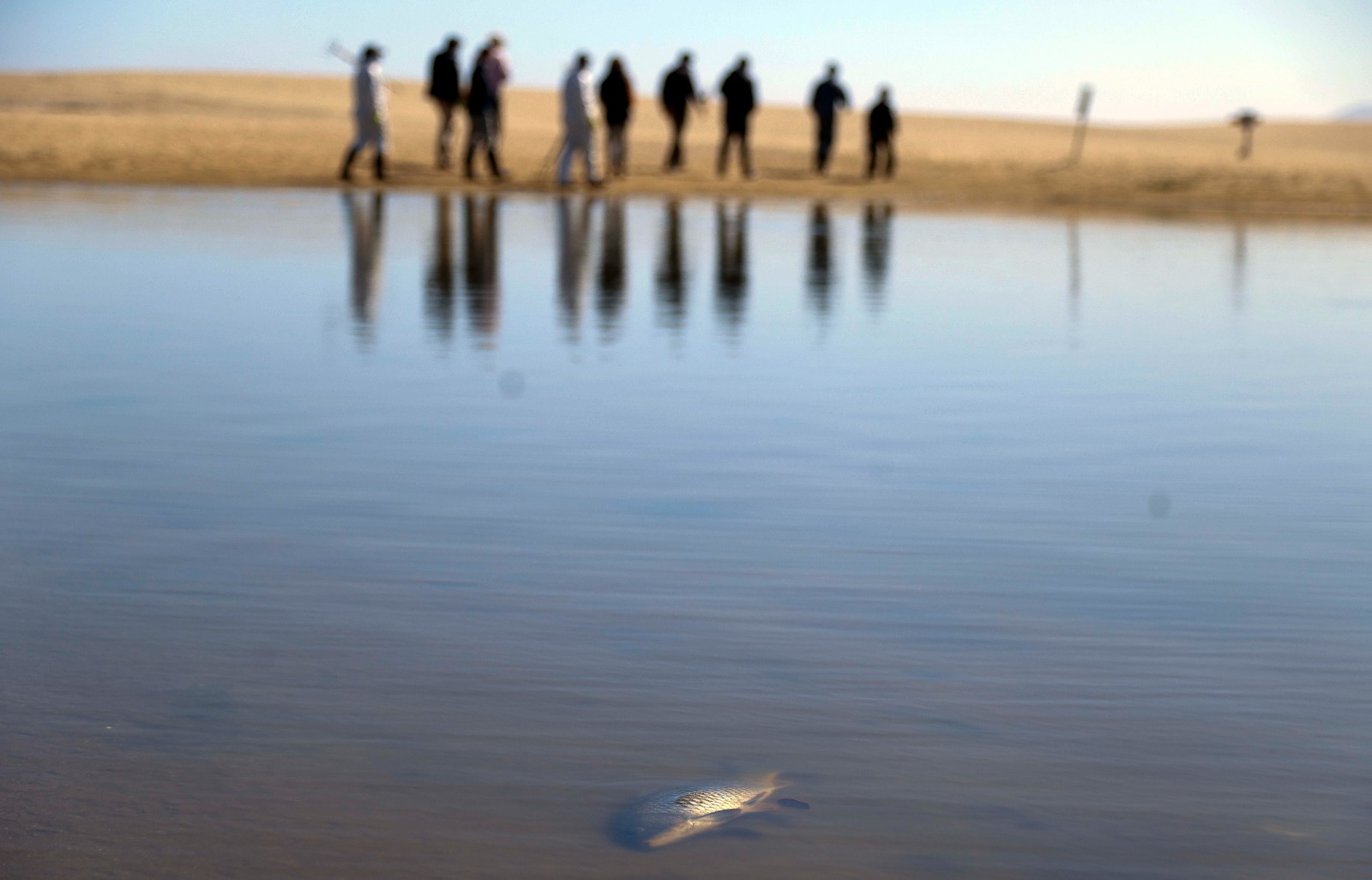 Detectan disminución del oxígeno en el agua del humedal de La Laguna