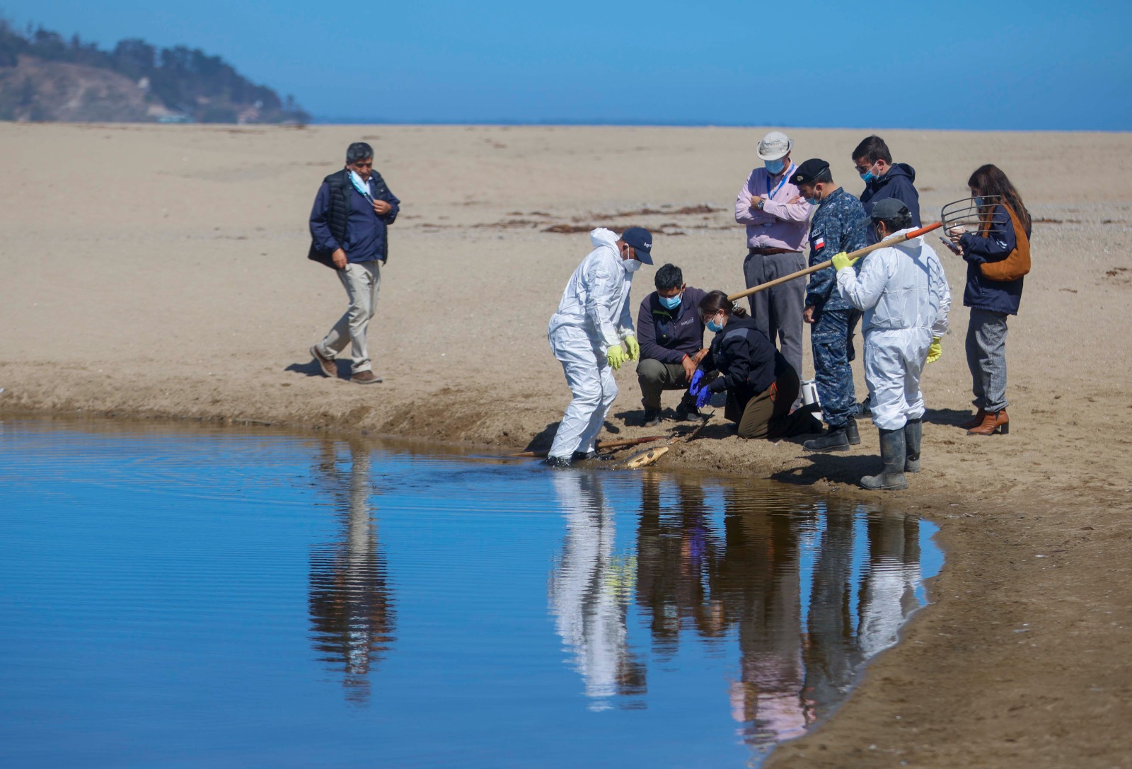 Detectan disminución del oxígeno en el agua del humedal de La Laguna