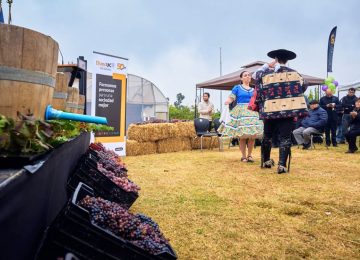 Duoc UC Sede Valparaíso invita a vivir la Fiesta de la Vendimia en Quillota