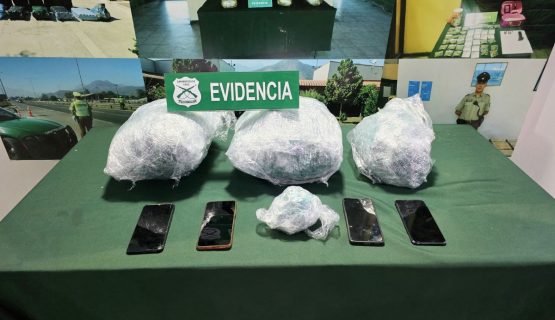 El Melón: Fiscalización por exceso de velocidad terminó con incautación de droga