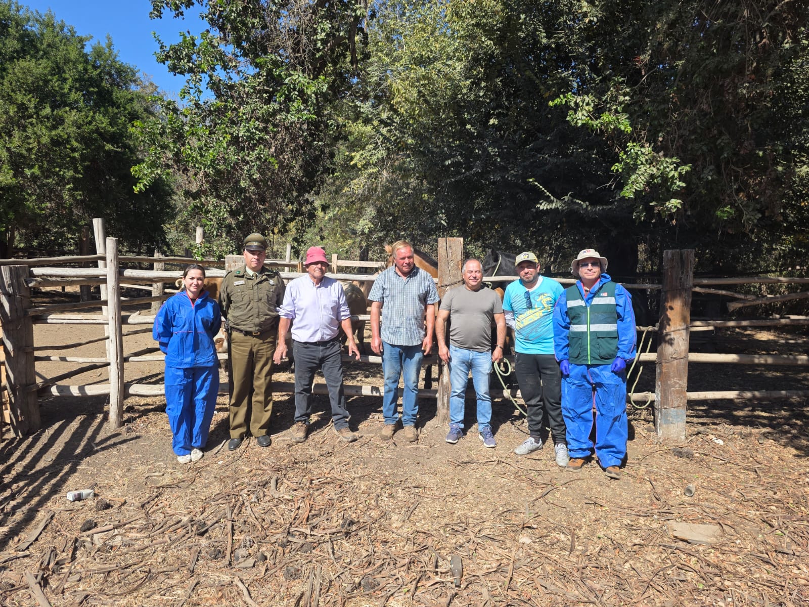 En Catapilco recuperan camión y animales robados 