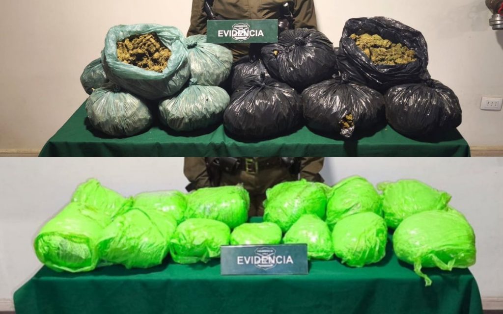 Incautan 28 kilos de marihuana tras fiscalizaciones en La Ligua y Zapallar