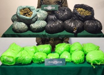 Incautan 28 kilos de marihuana tras fiscalizaciones en La Ligua y Zapallar