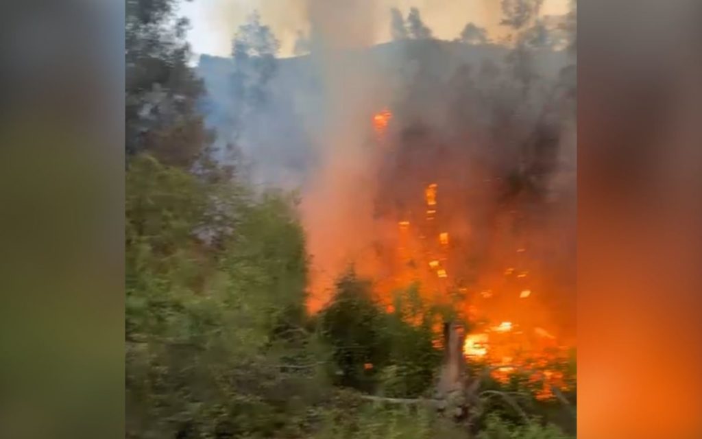 Incendio en Las Cabritas consumió 3.800 metros cuadrados de vegetación