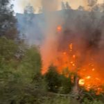 Incendio en Las Cabritas consumió 3.800 metros cuadrados de vegetación