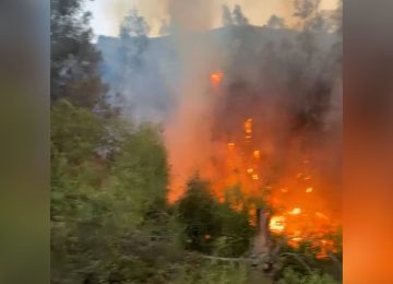 Incendio en Las Cabritas consumió 3.800 metros cuadrados de vegetación