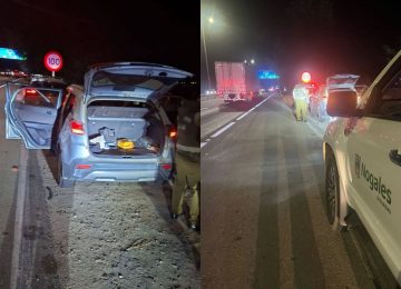 Nogales: Detienen a dos hombres por robo de especies desde vehículos