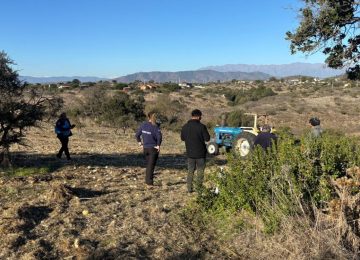 Ordenan demoliciones en loteos irregulares de Papudo