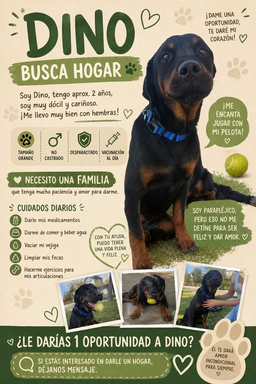 La Calera Buscan hogar definitivo para perrito con discapacidad