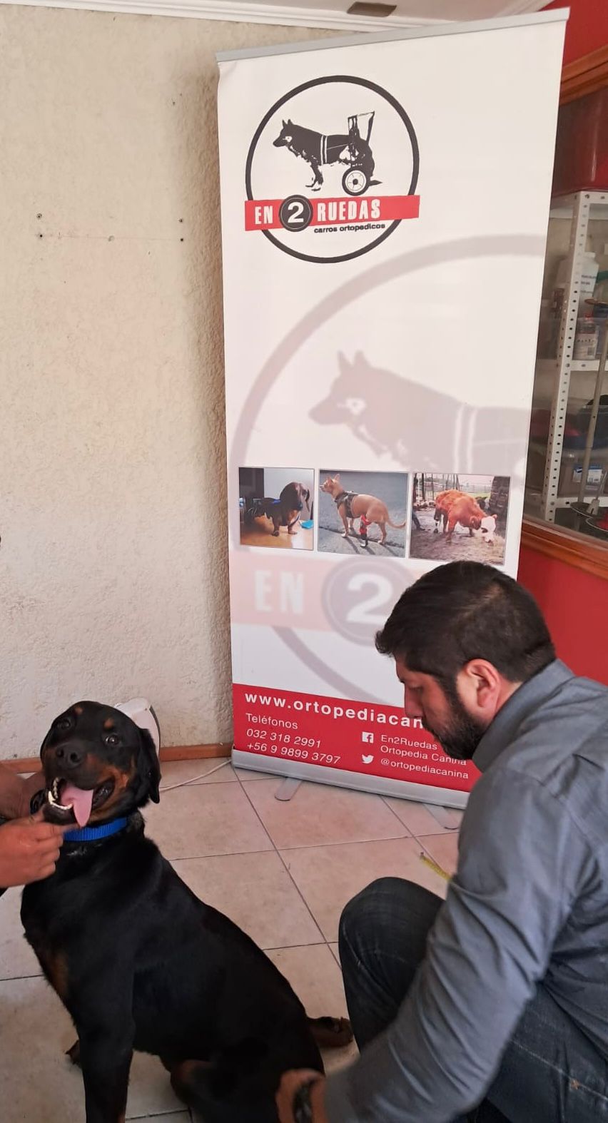 La Calera Buscan hogar definitivo para perrito con discapacidad