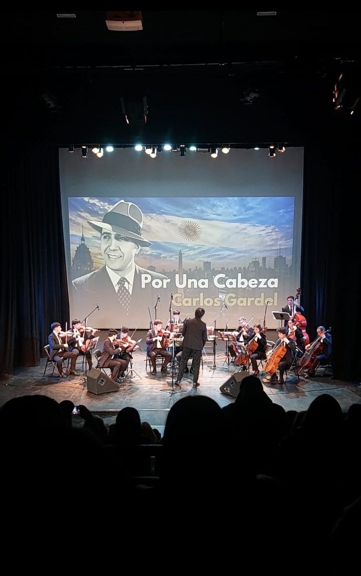 Orquesta de Cámara de Viña del Mar tocó en Quillota con teatro lleno