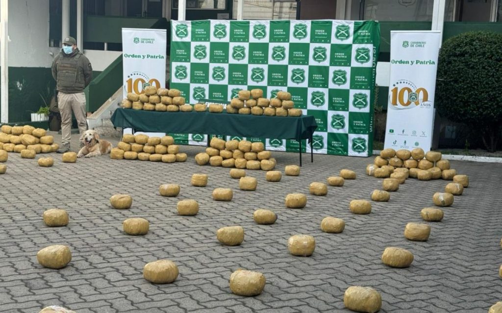 [VIDEO] Incautan más de 384 kilos de marihuana en Hijuelas