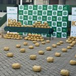[VIDEO] Incautan más de 384 kilos de marihuana en Hijuelas
