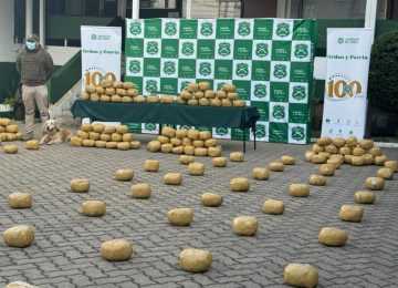 [VIDEO] Incautan más de 384 kilos de marihuana en Hijuelas