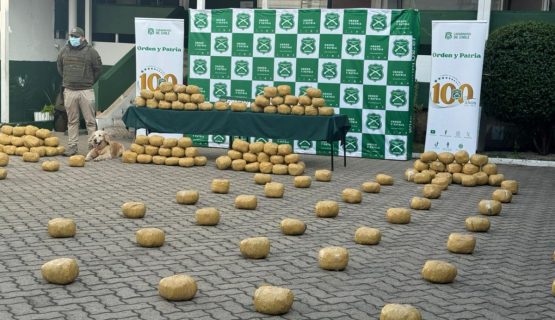 [VIDEO] Incautan más de 384 kilos de marihuana en Hijuelas
