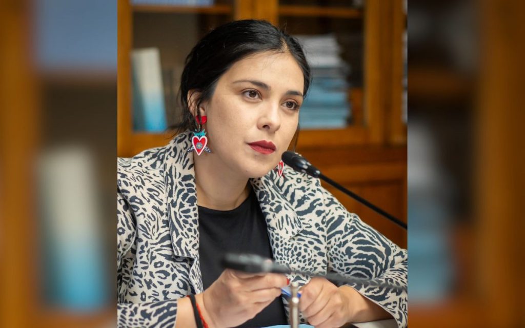 Karol Cariola critica “megareforma tributaria” y advierte impacto en salud y municipios