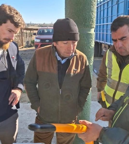 Ruta 5 Norte: Fiscalizan vehículos de carga para prevenir la propagación de la Mosca de la Fruta
