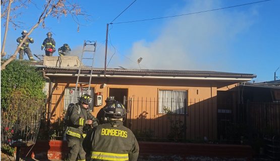 [VIDEO] Bomberos trabaja en apagar incendio en Quillota