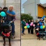 Dino tiene hogar: lo adoptaron quienes fueron sus cuidadores temporales en La Cruz