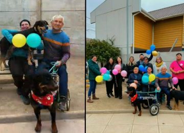 Dino tiene hogar: lo adoptaron quienes fueron sus cuidadores temporales en La Cruz