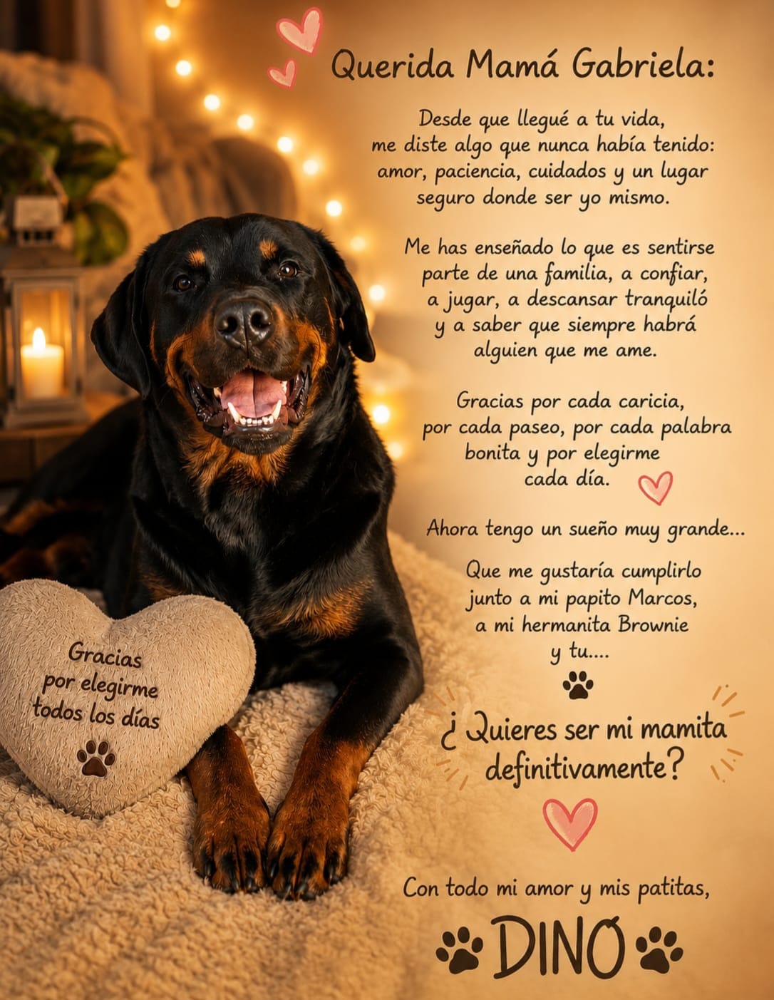 Dino tiene hogar lo adoptaron quienes fueron sus cuidadores temporales en La Cruz