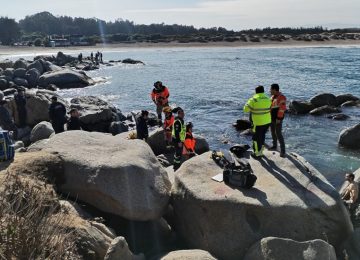 Hombre que buceaba en Ritoque falleció ahogado