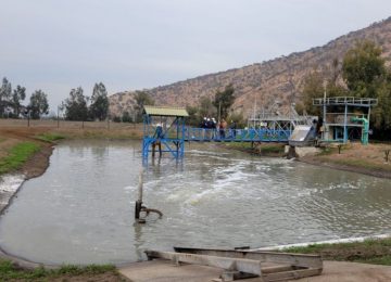 Planta de Tratamiento de Nogales: citan al municipio a la justicia por rebeldía