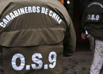 Quillota: Investigan brutal agresión contra hombre denunciado por VIF y daños