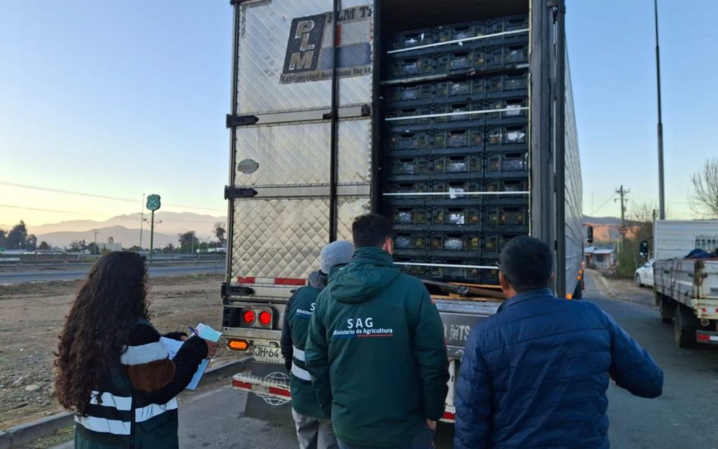 Ruta 5 Norte: Fiscalizan vehículos de carga para prevenir la propagación de la Mosca de la Fruta