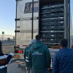 Ruta 5 Norte: Fiscalizan vehículos de carga para prevenir la propagación de la Mosca de la Fruta