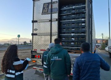 Ruta 5 Norte: Fiscalizan vehículos de carga para prevenir la propagación de la Mosca de la Fruta