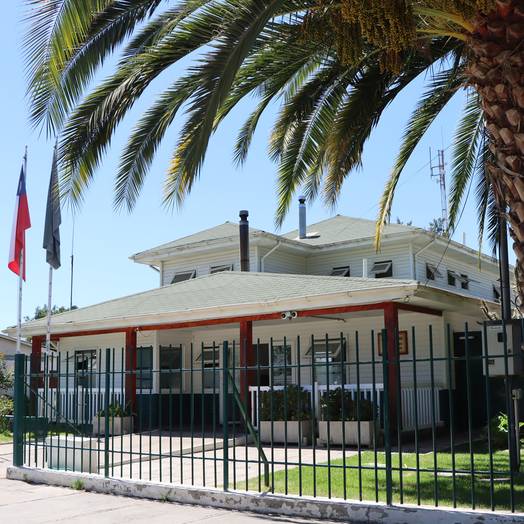 Quillota: Adulta mayor de 80 años falleció tras ser atropellada