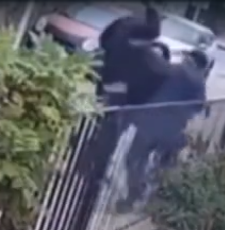 Buscan a sujeto que apuñaló a adulto mayor en La Ligua