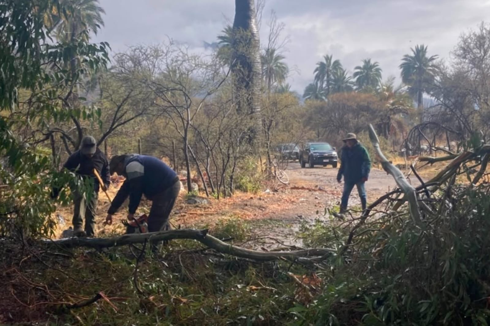 CONAF extiende cierre de parques y reservas en Región de Valparaíso por riesgos climáticos