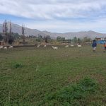 Inspeccionan daños en predios agrícolas de la provincia de Quillota