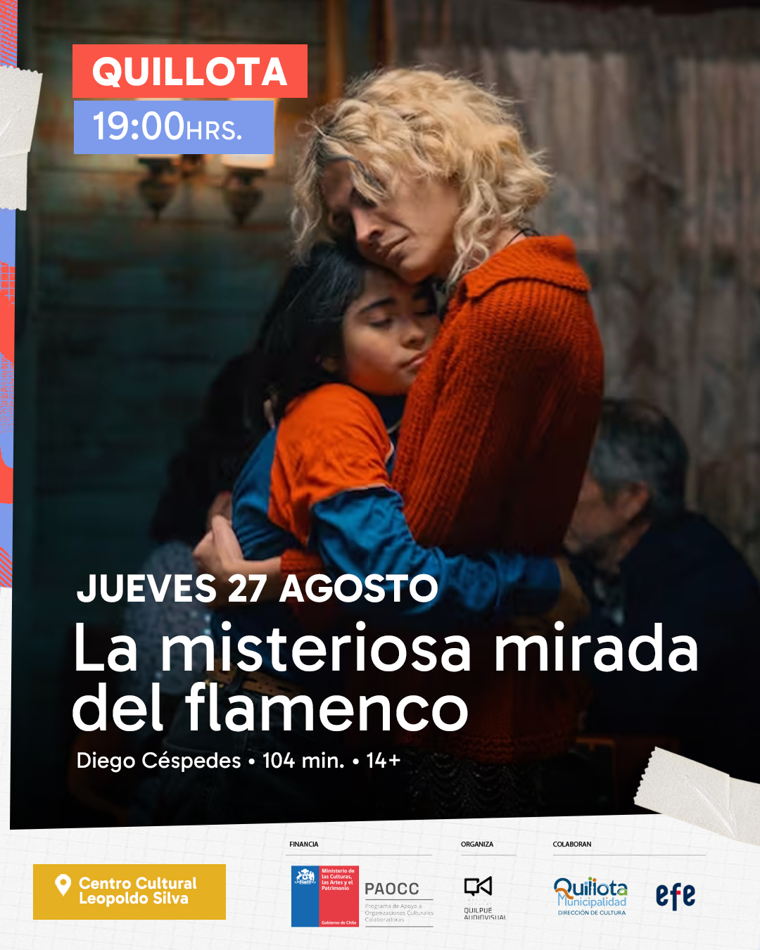 La misteriosa mirada del flamenco en Quillota