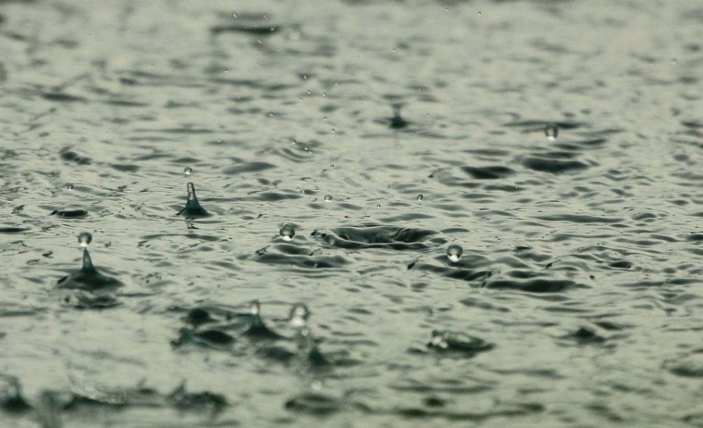 Las recomendaciones para agricultores ante las próximas lluvias
