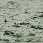 Las recomendaciones para agricultores ante las próximas lluvias