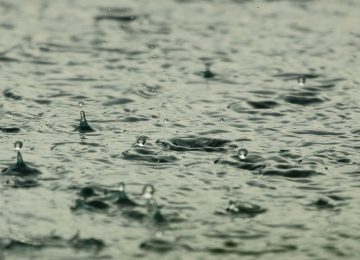 Las recomendaciones para agricultores ante las próximas lluvias
