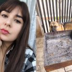 "Mi perrita nos salvó": Nogalina relata reciente emergencia con monóxido de carbono