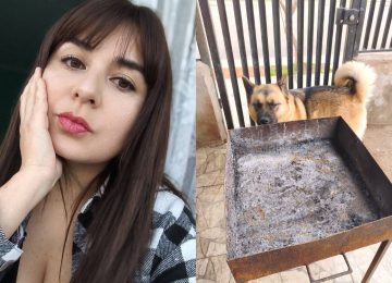 "Mi perrita nos salvó": Nogalina relata reciente emergencia con monóxido de carbono