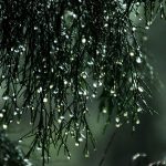 Proyectan nueva lluvia y ráfagas de viento en la Región de Valparaíso