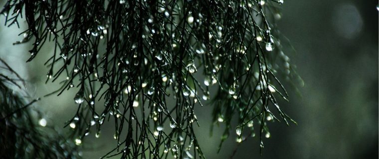 Proyectan nueva lluvia y ráfagas de viento en la Región de Valparaíso