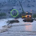 Rescataron a conductor que quedó atrapado en río de Petorca